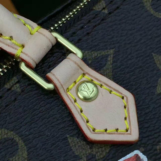 Louis Vuitton M62208 Nano Speedy Crossbody Bag Monogram Canvas Louis Vuitton M62208 Nano Speedy Crossbody Bag Monogram Canvas